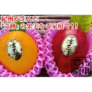 �y�ӂ邳�Ɣ[�Łz����s�\�񁟘a�̎R���Y�@�I�B���n�}���S�[�w�g�ʁx2�ʓ���m2026�N7�����{����8�����{�����������\��n�mMG19�n | �a�̎R�� ��쒬 �a�̎R �ԗ�i �x�� �y�V�ӂ邳�� �[�� 