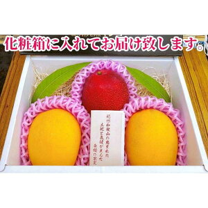 �y�ӂ邳�Ɣ[�Łz����s�\�񁟘a�̎R���Y�@�I�B���n�}���S�[�w�g�ʁx��1kg���x�^2�`3�ʓ���m2026�N7�����{����8�����{�����������\��n�mMG20�n | �a�̎R�� ��쒬 �a�̎R �ԗ�i �x�� �y�V