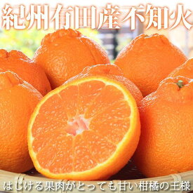 【ふるさと納税】紀州有田産不知火(しらぬひ) 約5kg［2026年2月中旬以降発送］［先行予約］［UT40］ | 和歌山県 印南町 和歌山 楽天ふるさと お取り寄せグルメ 取り寄せ グルメ 不知火 フルーツ 果物