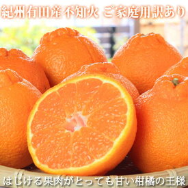 【ふるさと納税】［ご家庭用訳有り］紀州有田産不知火(しらぬひ) 約8.5kg［2026年2月中旬以降発送］［先行予約］［UT41］ | 和歌山県 印南町 和歌山 楽天ふるさと お取り寄せグルメ 取り寄せ グルメ 不知火 フルーツ 果物