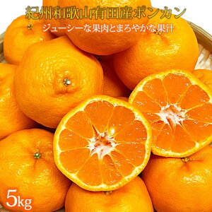yӂ邳Ɣ[ŁzIBa̎RLcY|J@5kgy2026N2{`2026N2{ɏzyUT20z | a̎R R a̎RRǒ ӂ邳 [   t[c n 