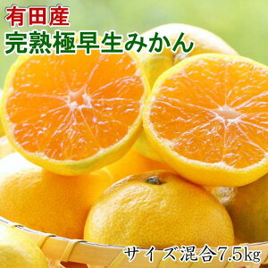 yӂ邳Ɣ[ŁzmInIBLc̊nɑ݂7.5kg(TCY)2025N10{菇mTM79n | yVӂ邳 [ 񂹃O  O t[c ʕ 