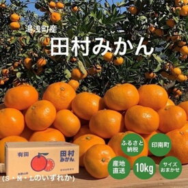 【ふるさと納税】湯浅産　田村みかん　10kg　(サイズおまかせ) | フルーツ 果物 くだもの みかん ミカン 蜜柑 柑橘 柑橘類 田村ミカン かんきつ 10キロ お取り寄せグルメ 取り寄せ グルメ 特産品 果実 お取り寄せ 美味しい