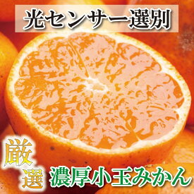 【ふるさと納税】＜11月より発送＞厳選 小玉な有田みかん2.5kg+75g（傷み補償分） | フルーツ 果物 くだもの 食品 人気 おすすめ 送料無料 光センサー選果