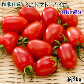 【ふるさと納税】［2026年4月出荷分］和歌山産ミニトマト「アイコトマト」約2kg（S・Mサイズおまかせ）［TM140］