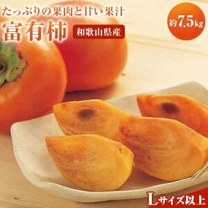 �y�ӂ邳�Ɣ[�Łz����s�\�񁟘a�̎R���Y �x�L�`�����ƒ�p����7.5kg ���t�l�߁m2026�N11����{�ȍ~�����n�m��x�R���Y�n�mMG2�n | �a�̎R�� ��쒬 �a�̎R �ԗ�i �y�V�ӂ邳�� ���� �O��