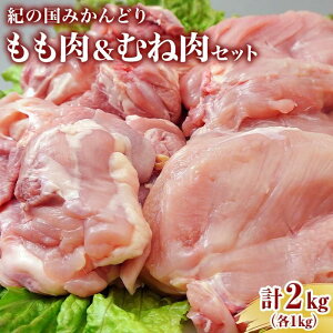 yӂ邳Ɣ[ŁzI݂̍ǂ@Ƃނ˓Zbg@(1kg@ނ1kg) | a̎R 쒬 a̎R ԗi x yVӂ邳 [ 񂹃O  O {   