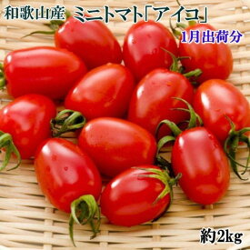 【ふるさと納税】［2026年1月出荷分］和歌山産ミニトマト「アイコトマト」約2kg（S・Mサイズおまかせ）［TM109］ | 和歌山県 印南町 和歌山 返礼品 支援 楽天ふるさと 納税 お取り寄せグルメ 取り寄せ グルメ ミニトマト トマト 野菜 やさい 新鮮野菜 新鮮 おいしい 美味しい