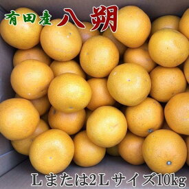 【ふるさと納税】［手選果］有田産の八朔10kg（Lまたは2Lサイズいずれかお届け）★2026年1月下旬頃より順次発送［TM112］ | 和歌山県 印南町 和歌山 返礼品 支援 楽天ふるさと 納税 お取り寄せグルメ 取り寄せ グルメ フルーツ 果物 くだもの 八朔 はっさく 柑橘