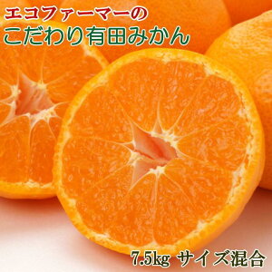 yӂ邳Ɣ[ŁzGRt@[}[̂Lc݂7.5kgiTCYj2025N11{菇mTM94n | a̎R 쒬 a̎R ԗi yVӂ邳 [ 񂹃O 