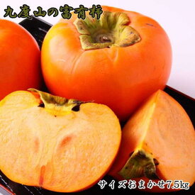 【ふるさと納税】≪柿の名産地≫九度山の富有柿約7.5kgサイズおまかせ★2026年11月上旬頃より順次発送［TM2］ | 返礼品 楽天ふるさと 納税 お取り寄せグルメ 取り寄せ グルメ フルーツ 果物 くだもの 柿 カキ かき 富有柿 家庭用 自宅用 国産 おいしい 美味しい 特産品