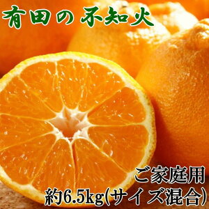 yӂ邳Ɣ[ŁzmZnLc̕smΖ6.5kgƒpiTCYj2026N2{菇mTM70n | a̎R 쒬 a̎R ԗi x yVӂ邳 [ 񂹃O 