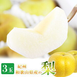 yӂ邳Ɣ[Łz 3 ϔ IBa̎R 炬Ym2026N8{ȍ~\nmUT98n