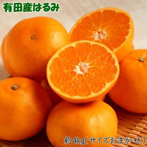 yӂ邳Ɣ[ŁzmIEZnIBLcŶ͂ݖ4kg(TCY܂) 2026N1{菇mTM27n | a̎R ԗi x yVӂ邳 [ 񂹃O  O