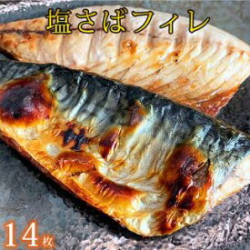 【ふるさと納税】【魚鶴商店】人気の魚の幸定期便（塩サバ・うなぎ蒲焼・鮭切身）【定期便全3回】 | 和歌山県 印南町 和歌山 返礼品 支援 楽天ふるさと 納税 魚 定期便 魚介類 魚介 海産物 海の幸 さば サバ 鯖 うなぎ 鰻 ウナギ サケ さけ しゃけ シャケ 切り身 きりみ