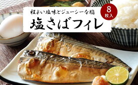 【ふるさと納税】お魚のバラエティ定期便 （塩サバ・甘口塩銀鮭切身・うなぎ蒲焼）【定期便・全3回】【魚鶴商店】