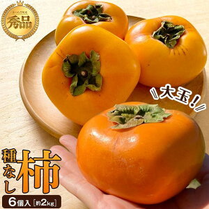 yӂ邳Ɣ[Łz`(햳) 6 (2kg) Giʁy2025N9{蔭zyKT1z | `  t[c ʕ  Hi lC  
