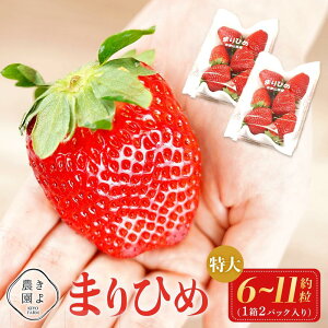 yӂ邳Ɣ[Łz܂Ђ߃C`S E 6`11×2pbNm2026N1{蔭nms\nmKT3n |   t[c ʕ  Hi lC  