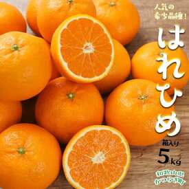 【ふるさと納税】はれひめ（ミカンの希少種） 秀品 約5kg（25個～30個入）【先行予約】【2024年12月中旬頃から発送】【KG3】 | みかん 蜜柑 フルーツ 果物 くだもの 食品 人気 おすすめ 送料無料