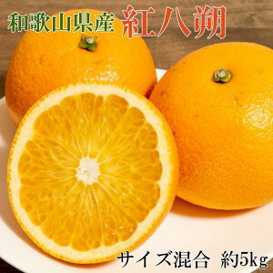yӂ邳Ɣ[Łzm󏭕ina̎RYg5kgiTCYj2026N1{菇ms\nmTM88n | k t[c ʕ  Hi lC  