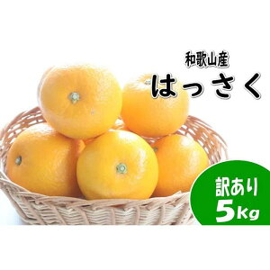 yӂ邳Ɣ[Łzy󂠂Eƒpz͂ij5kg a̎RY | t[c ʕ  Hi lC  