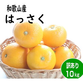 【ふるさと納税】【訳あり・ご家庭用】はっさく（八朔）約10kg 和歌山産 | フルーツ 果物 くだもの 食品 人気 おすすめ 送料無料