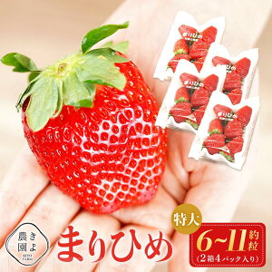 yӂ邳Ɣ[Łz܂Ђ߃C`S E 6`11×4pbNm2026N1{蔭nms\nmKT4n |   t[c ʕ  Hi lC  