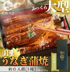 【ふるさと納税】大型サイズふっくら柔らか　国産うなぎ蒲焼き　3尾 | 和歌山県 印南町 和歌山 返礼品 支援 支援品 楽天ふるさと 納税 お取り寄せグルメ 取り寄せ グルメ 魚介類 魚介 うなぎ ウナギ 鰻 蒲焼き うなぎ蒲焼き 国産うなぎ 国産ウナギ 国産鰻 うなぎかば焼き