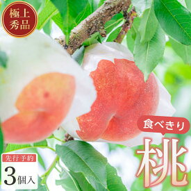 【ふるさと納税】桃 極上秀品 食べきりやすい3個入 ［先行予約］［2027年6月下旬頃より順次発送］こだわり農家厳選！［KG1］ | もも フルーツ 果物 くだもの 食品 人気 おすすめ 送料無料