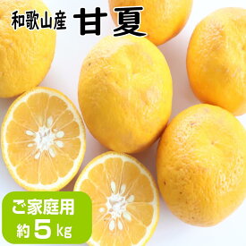 【ふるさと納税】【ご家庭用】甘夏（あまなつ）約5kg 和歌山産 | 柑橘 フルーツ 果物 くだもの 食品 人気 おすすめ 送料無料
