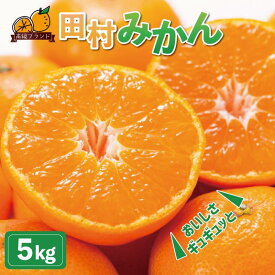 【ふるさと納税】高級ブランド田村みかん　5kg［2026年11月下旬以降発送］［先行予約］［UT14］ | 和歌山 返礼品 楽天ふるさと 納税 取り寄せ グルメ フルーツ 果物 くだもの みかん ミカン 蜜柑 柑橘 柑橘類 かんきつ かんきつ類 田村みかん 家庭用 自宅用