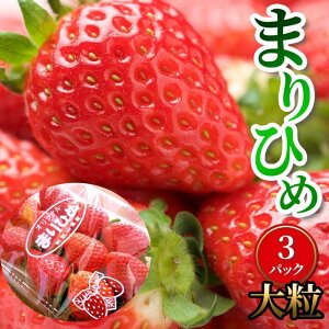 yӂ邳Ɣ[Łzi܂Ђ߁j3pbNya̎R܂̃C`Sz | t[c ʕ  Hi lC  