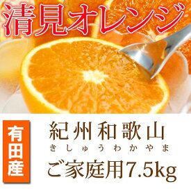 【ふるさと納税】［ご家庭用訳アリ］紀州有田産清見オレンジ　7.5kg［2026年3月下旬以降発送］［先行予約］［UT54］ | 印南町 和歌山 返礼品 楽天ふるさと 納税 お取り寄せグルメ 取り寄せ グルメ フルーツ 果物 くだもの 清見オレンジ 柑橘 柑橘類 かんきつ わけあり