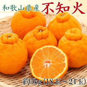 yӂ邳Ɣ[Łza̎RYsmΖ5kgi18ʁ`24ʂ܂jL`3LTCY2026N2{菇mTM159n | fR| sm t[c ʕ  Hi lC  