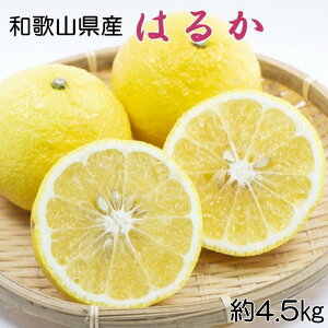 yӂ邳Ɣ[Łzm₩kna̎RY͂邩݂4.5kgiTCY@Gij2026N2{菇mTM162n | t[c ʕ  Hi lC  