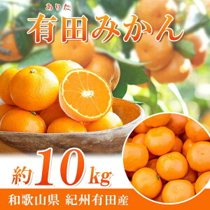 �y�ӂ邳�Ɣ[�Łz���n�L�c�݂���@10kg�m2026�N11�����{�ȍ~�����n�m��s�\��n�mUT11�n | �a�̎R �ԗ�i �y�V�ӂ邳�� �[�� �����񂹃O���� ���� �O���� �t���[�c �ʕ� �������� �݂��� 