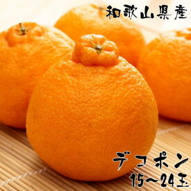【ふるさと納税】和歌山有田の濃厚デコポン 15～24玉 約5kg［先行予約］［MS78］ | フルーツ 果物 くだもの 食品 人気 おすすめ 送料無料