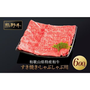 yӂ邳Ɣ[ŁzF싍 ĂEԂ ԐgXCX 600gyMT33z |   ɂ Hi lC   Mtg