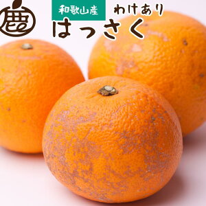 yӂ邳Ɣ[ŁzyIׂeʁzms\nƒp ͂2.5kg`10g+250giݕ⏞jy݂zy󂠂E킯zmIKE29n | t[c ʕ  Hi lC  