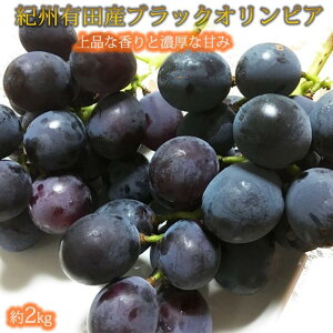 yӂ邳Ɣ[ŁzIBLcY ubNIsA (n`~cԂǂ) 2kgm2026N8{ȍ~\nmUT107n | Ԃǂ t[c ʕ  Hi lC  
