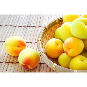 yӂ邳Ɣ[Łzm~E~pn4LTCY2kg n썂 ~ ԏGi2026N6{`77\聄mART01n | t[c ʕ  Hi lC  