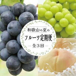 yӂ邳Ɣ[Łz֑S3 y7E8E9z a̎R̃t[c͂iE˂ȂsI[lEVC}XJbgjyTM180z | t[c ʕ  Hi lC  