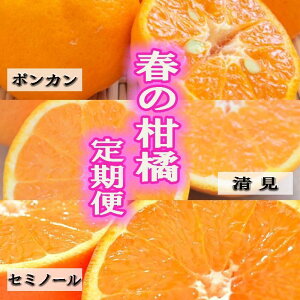 yӂ邳Ɣ[Łza̎Ȑt̃t[ci|JEIWEZ~m[IWj S3 y2E3E4zyTM184z | t[c ʕ  Hi lC  