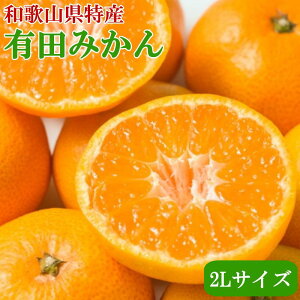 yӂ邳Ɣ[Łz[Gi]a̎RLc݂6kg(2LTCY)2025N11{菇yTM84z | a̎R 쒬 a̎R ԗi x xi yVӂ邳 [  O t[c 