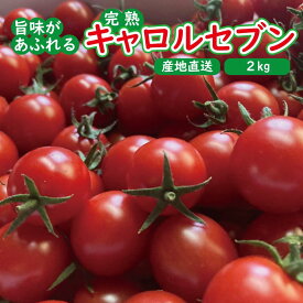 【ふるさと納税】高糖度完熟ミニトマト 約2kg 【キャロルセブン】 | 野菜 やさい 食品 人気 おすすめ 送料無料