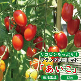 【ふるさと納税】高糖度完熟ミニトマト 約2kg 【あいこ】