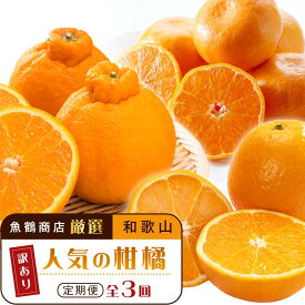 【ふるさと納税】【魚鶴商店厳選】和歌山人気の柑橘ご家庭用・訳あり定期便（みかん・不知火・清見オレンジ）【定期便全3回】【UT117】 | 和歌山県 印南町 和歌山 返礼品 支援 楽天ふるさと 納税 フルーツ 果物 くだもの みかん