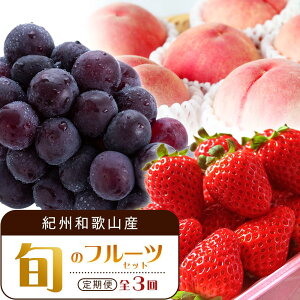 yӂ邳Ɣ[Łzy2E7E9 S3zIBa̎RY{̃t[cZbgiEEsI[ljyUT95z | t[c ʕ  Hi lC  