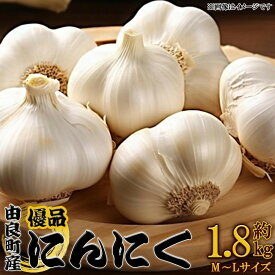 【ふるさと納税】由良町産にんにく 優品 約1.8kg(900g×2／M～Lサイズ)【SL18】