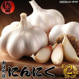 【ふるさと納税】由良町産にんにく 秀品 Lサイズ 約2kg(1kg×2)【SL19】